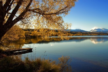 温州瑞安8私人放款|企业资金短拆|温州瑞安8开店生意贷