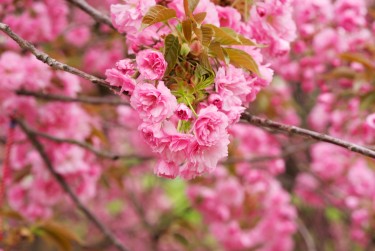 温州瑞安8线下个人借款平台一站式服务，轻松解决资金难题