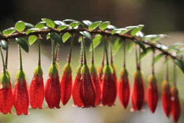 温州瑞安8零用贷短借：轻松解决临时资金需求