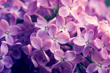 温州瑞安8企业急用钱贷款攻略：快速融资解燃眉之急